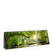 Led Wandbild Wald Mit Bach Bei Sonnenschein Panorama Produktvorschau Seitlich
