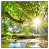 Led Wandbild Wald Mit Bach Bei Sonnenschein Quadrat Produktvorschau Frontal