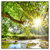 Led Wandbild Wald Mit Bach Bei Sonnenschein Quadrat Produktvorschau Frontal