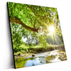 Led Wandbild Wald Mit Bach Bei Sonnenschein Quadrat Produktvorschau Seitlich