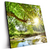 Led Wandbild Wald Mit Bach Bei Sonnenschein Quadrat Produktvorschau Seitlich