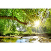 Led Wandbild Wald Mit Bach Bei Sonnenschein Querformat Motivvorschau