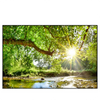 Led Wandbild Wald Mit Bach Bei Sonnenschein Querformat Produktvorschau Frontal