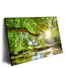 Led Wandbild Wald Mit Bach Bei Sonnenschein Querformat Produktvorschau Seitlich