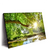 Led Wandbild Wald Mit Bach Bei Sonnenschein Querformat Produktvorschau Seitlich