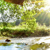Led Wandbild Wald Mit Bach Bei Sonnenschein Querformat Zoom