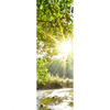 Led Wandbild Wald Mit Bach Bei Sonnenschein Schmal Motivvorschau