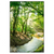 Led Wandbild Wald Mit Bach Hochformat Produktvorschau Frontal