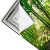 Led Wandbild Wald Mit Bach Querformat Materialvorschau