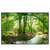 Led Wandbild Wald Mit Bach Querformat Produktvorschau Frontal