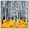 Led Wandbild Wald Mit Birkenbaeumen Quadrat Produktvorschau Frontal