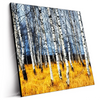 Led Wandbild Wald Mit Birkenbaeumen Quadrat Produktvorschau Seitlich