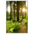 Led Wandbild Wald Mit Sonnenstrahlen No 2 Hochformat Produktvorschau Frontal