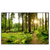 Led Wandbild Wald Mit Sonnenstrahlen No 2 Querformat Produktvorschau Frontal