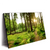 Led Wandbild Wald Mit Sonnenstrahlen No 2 Querformat Produktvorschau Seitlich