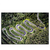 Led Wandbild Wald Strasse Luftaufnahme Querformat Produktvorschau Frontal