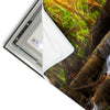 Led Wandbild Wald Wasserfall No 2 Panorama Materialvorschau
