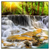 Led Wandbild Wald Wasserfall No 2 Quadrat Produktvorschau Frontal