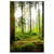Led Wandbild Waldbach Im Sonnenschein Hochformat Produktvorschau Frontal