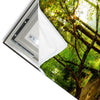 Led Wandbild Waldbach Im Sonnenschein Panorama Materialvorschau