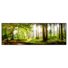 Led Wandbild Waldbach Im Sonnenschein Panorama Produktvorschau Frontal