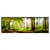 Led Wandbild Waldbach Im Sonnenschein Panorama Produktvorschau Frontal