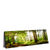 Led Wandbild Waldbach Im Sonnenschein Panorama Produktvorschau Seitlich