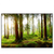 Led Wandbild Waldbach Im Sonnenschein Querformat Produktvorschau Frontal