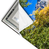 Led Wandbild Waldhuette Am Fluss Panorama Materialvorschau