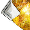 Led Wandbild Waldlandschaft Im Herbst Hochformat Materialvorschau