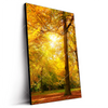 Led Wandbild Waldlandschaft Im Herbst Hochformat Produktvorschau Seitlich