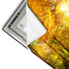 Led Wandbild Waldlandschaft Im Herbst Querformat Materialvorschau