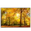 Led Wandbild Waldlandschaft Im Herbst Querformat Produktvorschau Frontal