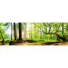 Led Wandbild Waldpanorama Panorama Motivvorschau