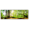 Led Wandbild Waldpanorama Panorama Produktvorschau Frontal