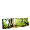 Led Wandbild Waldpanorama Panorama Produktvorschau Seitlich