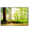 Led Wandbild Waldpanorama Querformat Produktvorschau Frontal
