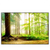 Led Wandbild Waldpanorama Querformat Produktvorschau Frontal