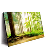 Led Wandbild Waldpanorama Querformat Produktvorschau Seitlich