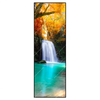 Led Wandbild Wasserfall Im Wald Schmal Produktvorschau Frontal
