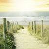 Led Wandbild Weg Zum Strand Querformat Zoom