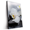 Led Wandbild Weisse Orchideen Hochformat Produktvorschau Seitlich