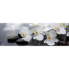 Led Wandbild Weisse Orchideen Panorama Motivvorschau