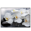 Led Wandbild Weisse Orchideen Querformat Produktvorschau Frontal