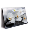 Led Wandbild Weisse Orchideen Querformat Produktvorschau Seitlich