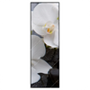Led Wandbild Weisse Orchideen Schmal Produktvorschau Frontal
