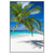 Led Wandbild Weisser Strand Kokospalme Hochformat Produktvorschau Frontal