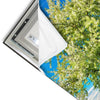 Led Wandbild Wiese Mit Bluehendem Baum Hochformat Materialvorschau