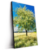 Led Wandbild Wiese Mit Bluehendem Baum Hochformat Produktvorschau Seitlich