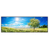 Led Wandbild Wiese Mit Bluehendem Baum Panorama Produktvorschau Frontal